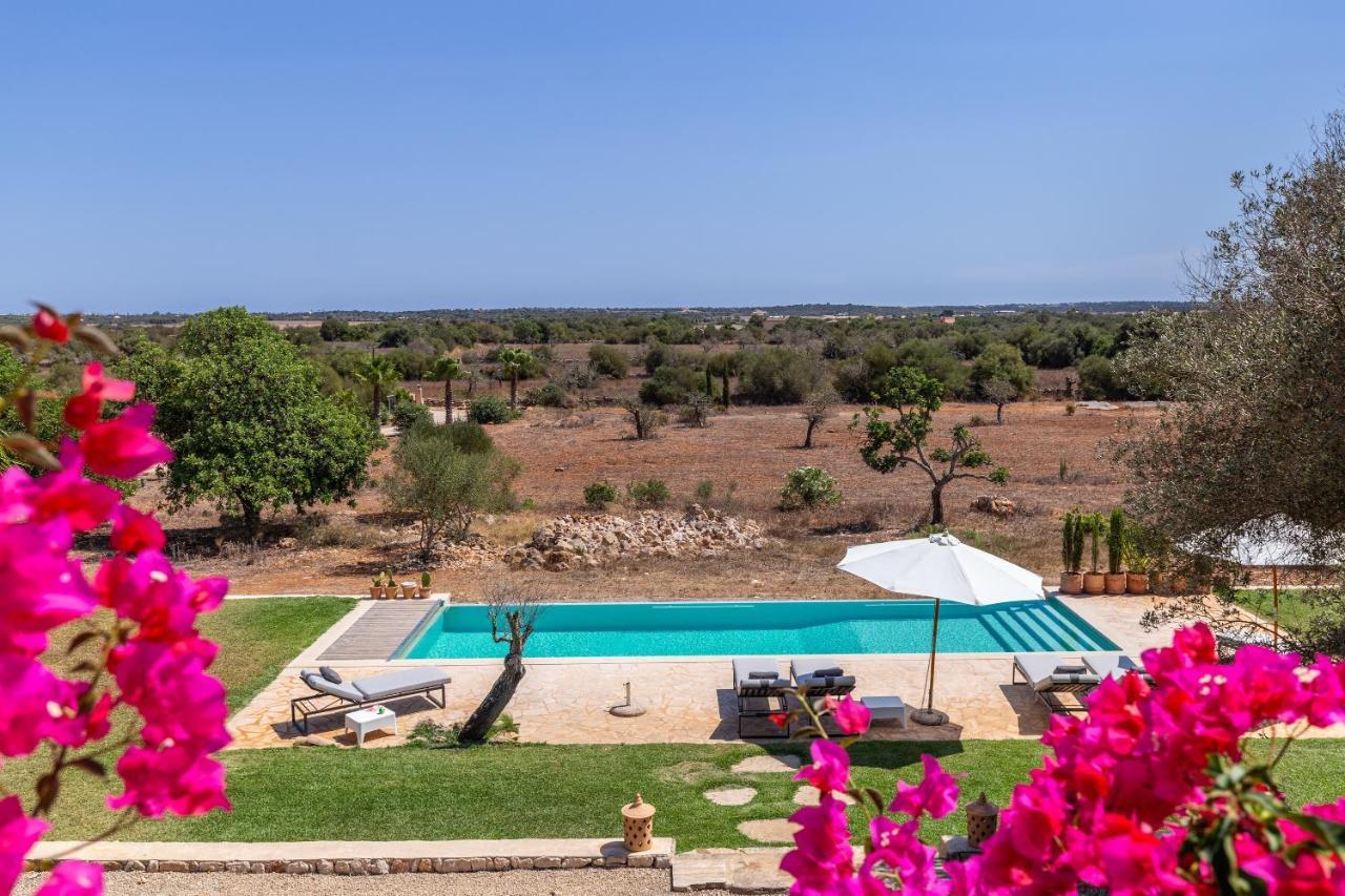 Finca El Retiro 세스 살리네스 외부 사진